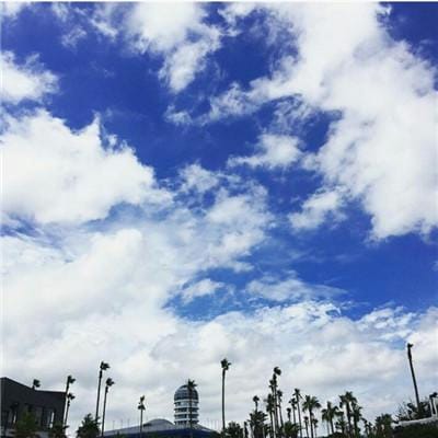 Lê Thanh Vân avatar